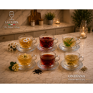 608 ONDİANA FİNCAN SET 12 PRÇ*4