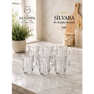 840 SİLVARA 6 LI KULPLU BARDAK*12